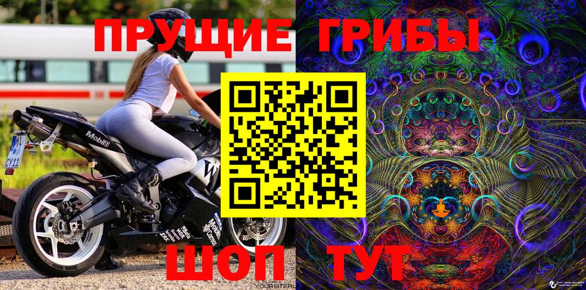 Псилоцибиновые грибы мухоморы Волжский